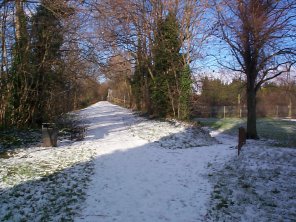 Snowy Ledbury